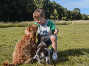 Invitation première communion l’aspect ludique avant tout !